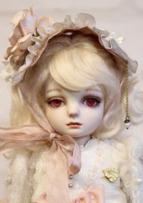 �Ϻ��� ������/seisen�פ��޺� �����إե��ܥ�������������ˡ�