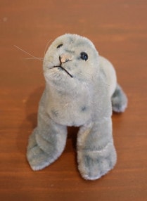 �ɥ����������奿���ռ� ������ơ��� ���åȥ���