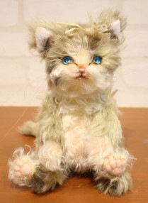 ꡼٥ /ڥ֥롼ܤΥͥ