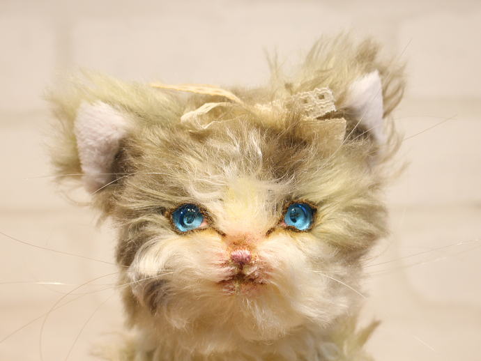 ジェリーベア / 【アクアブルーの目のネコちゃん】 | テディベア