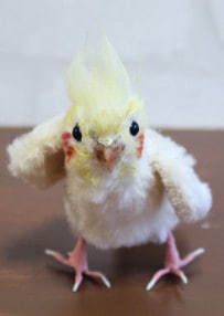 Piyo Bear / �����ᥤ��