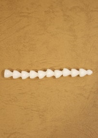 SSS�������ѡ��ġ�10�������