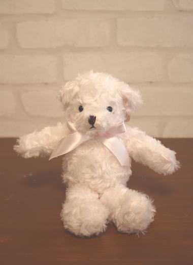 Dreaming Bears （CANAL） / メルティ ベア（ピンク） | テディベア