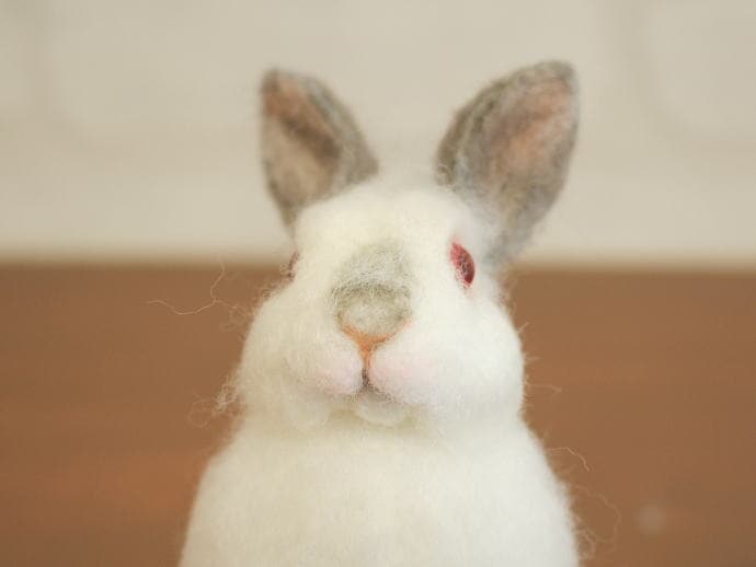 棚からうさもち/ 【ヒマラヤンのスイーツ うさぎ】 | すべての商品