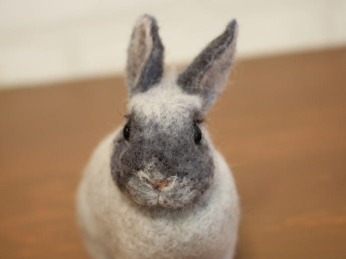 棚からうさもち/ 【グレーのスイーツ うさぎ】 | すべての商品