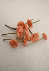 ���륯�۲�K-No-2