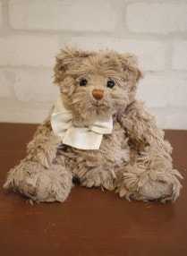 ϩ Bukowski  / ڥߥ˥ȡץ٥ ETHANۭ