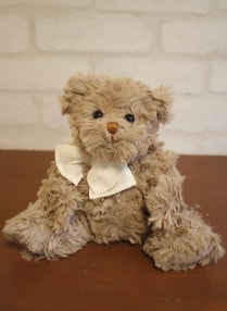 ϩ Bukowski  / ڥߥ˥ȡץ٥ ETHANۭ