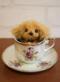 �म����٤� / �ڥƥ������å� �ȥ��ס��ɥ�Υ��㡼���