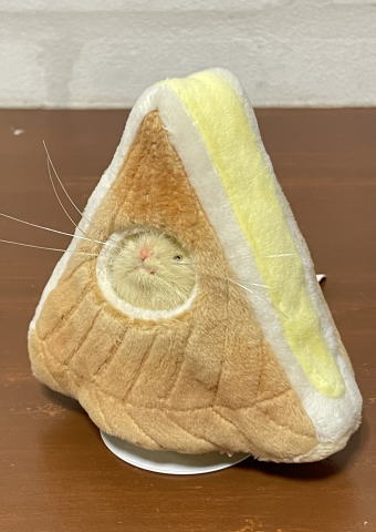 マウスのぬいぐるみ<ガレット・デ・ロワ/アーモンド> 三角ユウリ 三角ユウリ / 【マウスのぬいぐるみ〈ガレット・デ・ロワ