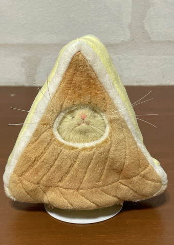 マウスのぬいぐるみ<ガレット・デ・ロワ/アーモンド> 三角ユウリ 三角ユウリ / 【マウスのぬいぐるみ〈ガレット・デ・ロワ
