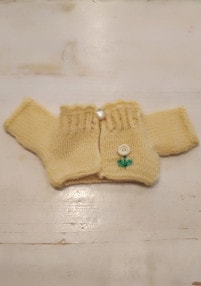 ڥ٥̤ߥ塼 /  ֤Υǥ S