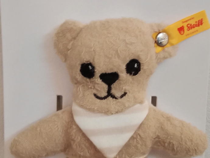 Steiff （ドイツ生まれ シュタイフ社）/ テディベアのノア