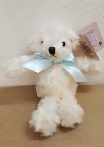 Dreaming Bears （CANAL） / メルティ ベア（白） | テディベア