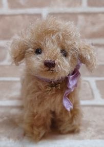 Miki Bears / 11 ¤ȥסɥ