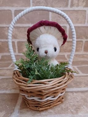 L.Dipper Bears / ڤΤ