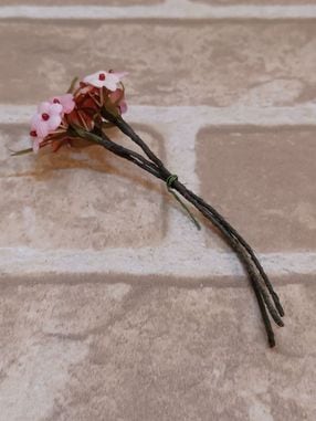 �����ӥ����� ���֤Υ֡�����K-No-60��