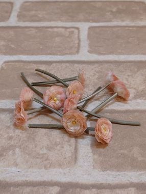 �����۲� �ݲ֡�K-No-81��