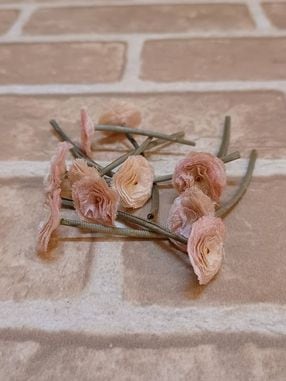 �����۲� �ݲ֡�K-No-83��