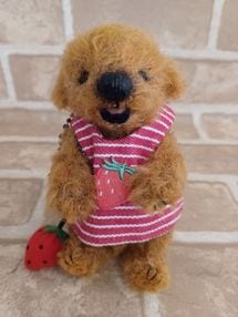 SNOW DOME / �ڥס��ɥ�����ʥߥˡˡ�