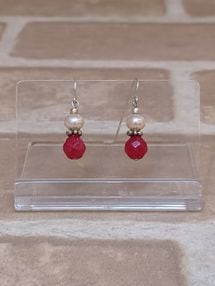 �ԥ��� ��Ȱ�����Ρ�KNO-231