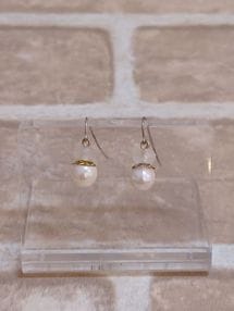 �ԥ��� ��Ȱ�����Ρ�KNO-236