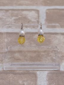 �ԥ��� ��Ȱ�����Ρ�KNO-238