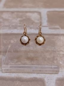 �ԥ��� ��Ȱ�����Ρ�KNO-256