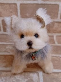 Piyo Bear / �ڥ衼�����ʥ��㡼���դ��ˡ�