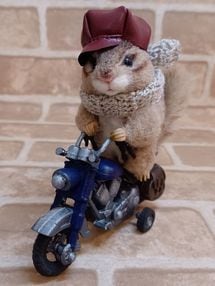 Poccolly/ŷ����寲�/ ��������ι���륷�ޥꥹ�饤������