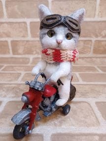 Poccolly/ŷ����寲�/ ��������ι����ǭ�饤������