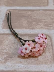 �������۲� �ӥ����� ���֡�K-No-60��