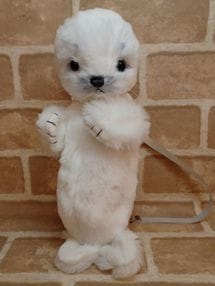 Mori��s Bear /�ڤ����餷�ݡ�����
