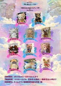���ƥǥ��٥���ƱŸ ���ءإ��˥ߥ���١����٤륪����ã�� ��ƣ�����Ϻ���ץ��ǥ塼��Ÿ in ��������ޥ�ٳ��ŤΤ��Τ餻♦8��18���ʲСˡ�8��25���ʲС�