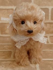 Miki Bears / ��17cm  ���¤�ȥ��ס��ɥ��