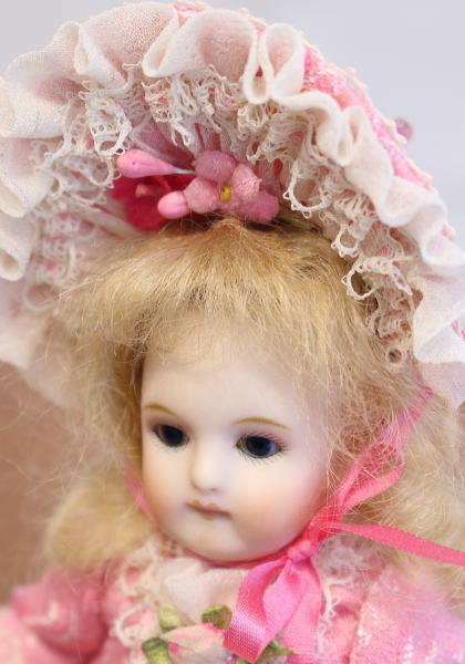 *white rose�� / �ޡ��ˡ�