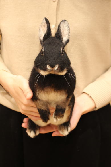 ê���餦����� ���ͥ������ɥɥ��  �֥�å������������Ӥ�����