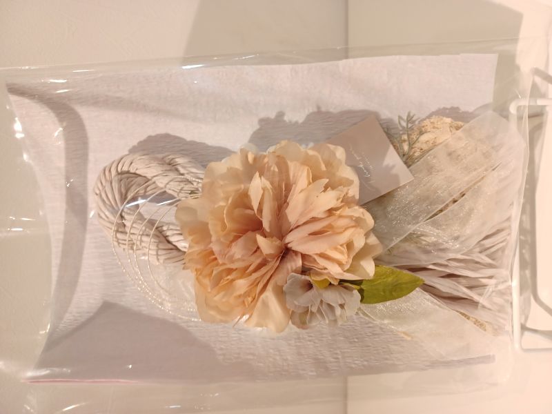 ����ƥꥢ�꡼�� D�����1��ʪ  2026ǯ��������� ��������꡼�� / ��ڥ��å��� / �����ʥ��� / ����ƥꥢ����/���ؾ���