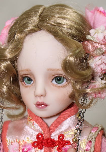 ͤ  / 㥤ˡӥɡ롡ѥȥʡBOXդ