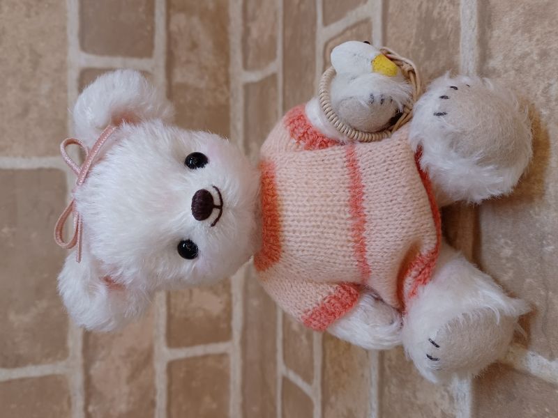 kino / �ڥ��꡼������