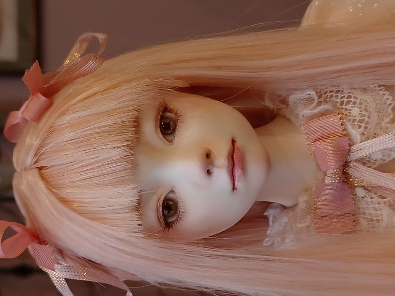 �������������� �� / �ڥ��饭��ҥ���〜�� (����)��