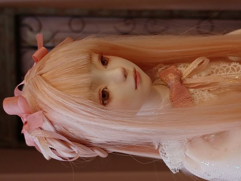 �������������� �� / �ڥ��饭��ҥ���〜�� (����)��