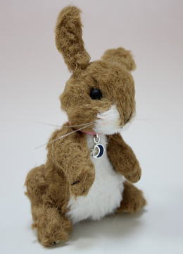 Ladybird/���祳������