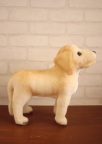 Steiff �ʥɥ������ޤ��Ϸ�ޥ᡼���������奿���ռҡ� ��  ��֥�ɡ���Υ��ꥹ�ȥե���