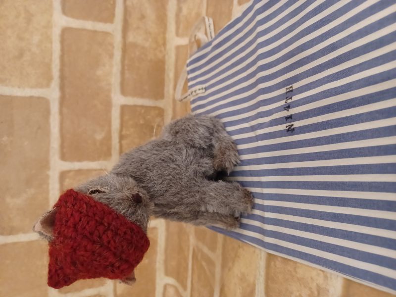 N14th-street / �ڤ�������CoCo No.2��