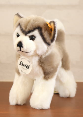 Steiff �ʥɥ������ޤ��Ϸ�ޥ᡼���������奿���ռҡ� ��  �ϥ����������ϥ������ΥХˡ�19