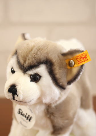 Steiff �ʥɥ������ޤ��Ϸ�ޥ᡼���������奿���ռҡ� ��  �ϥ����������ϥ������ΥХˡ�19