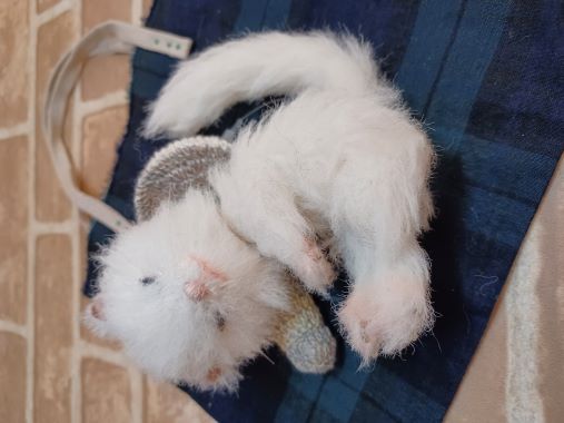 N14th-street/ ���������Υ����ǿ����ǭ��