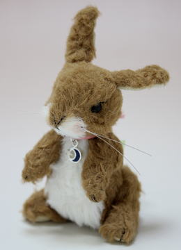 Ladybird/���祳������