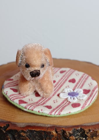 Tokotoko Bear / �ڥߥ˥�󥳭���